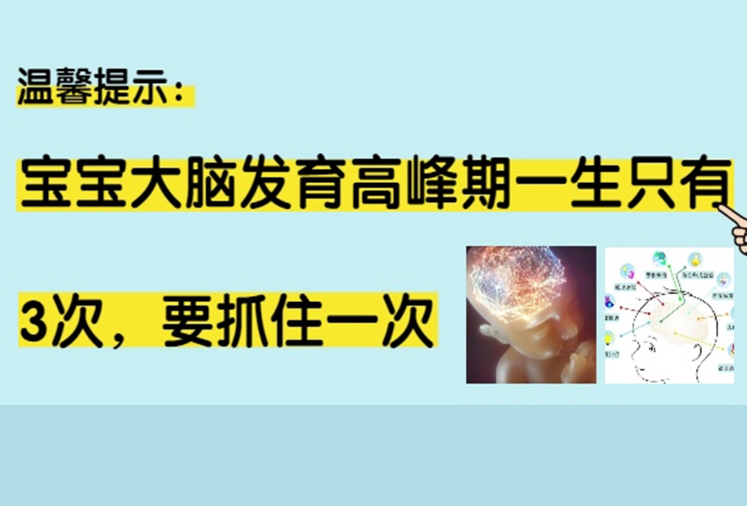 哈佛大學研究發(fā)現(xiàn)：寶寶大腦發(fā)育高峰期一生只有3次，要抓住一次